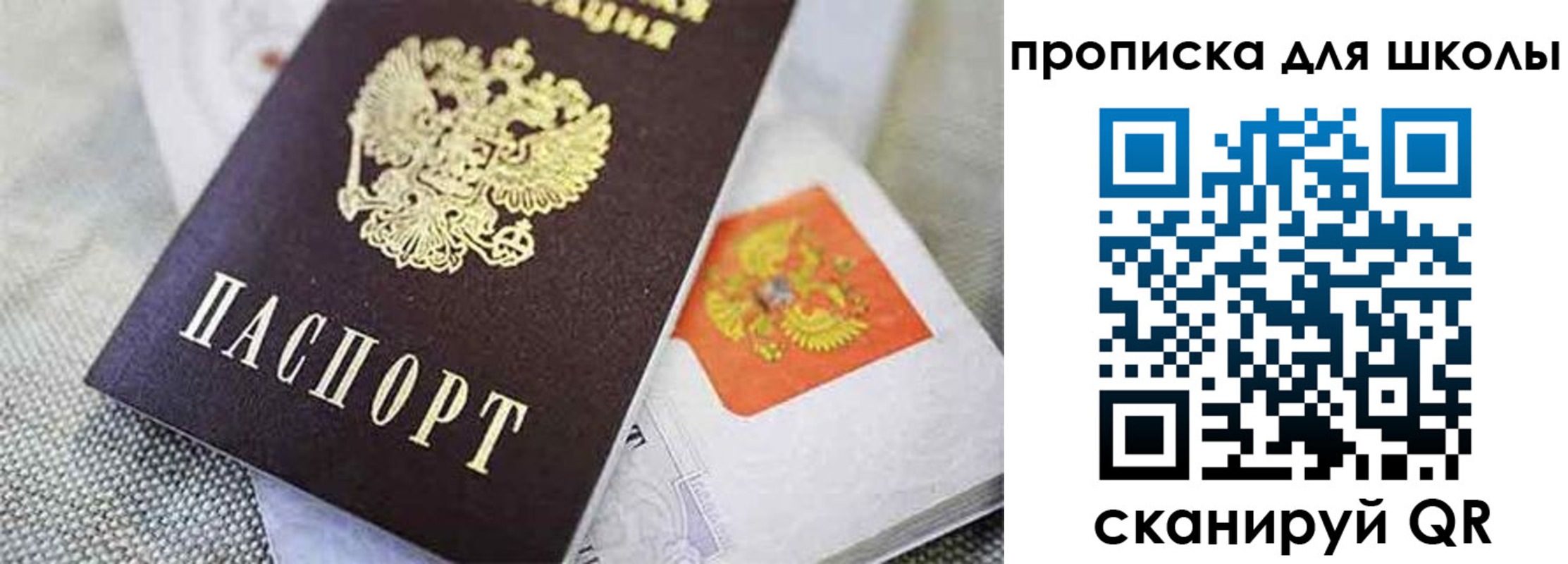 прописка штамп в Пионерском