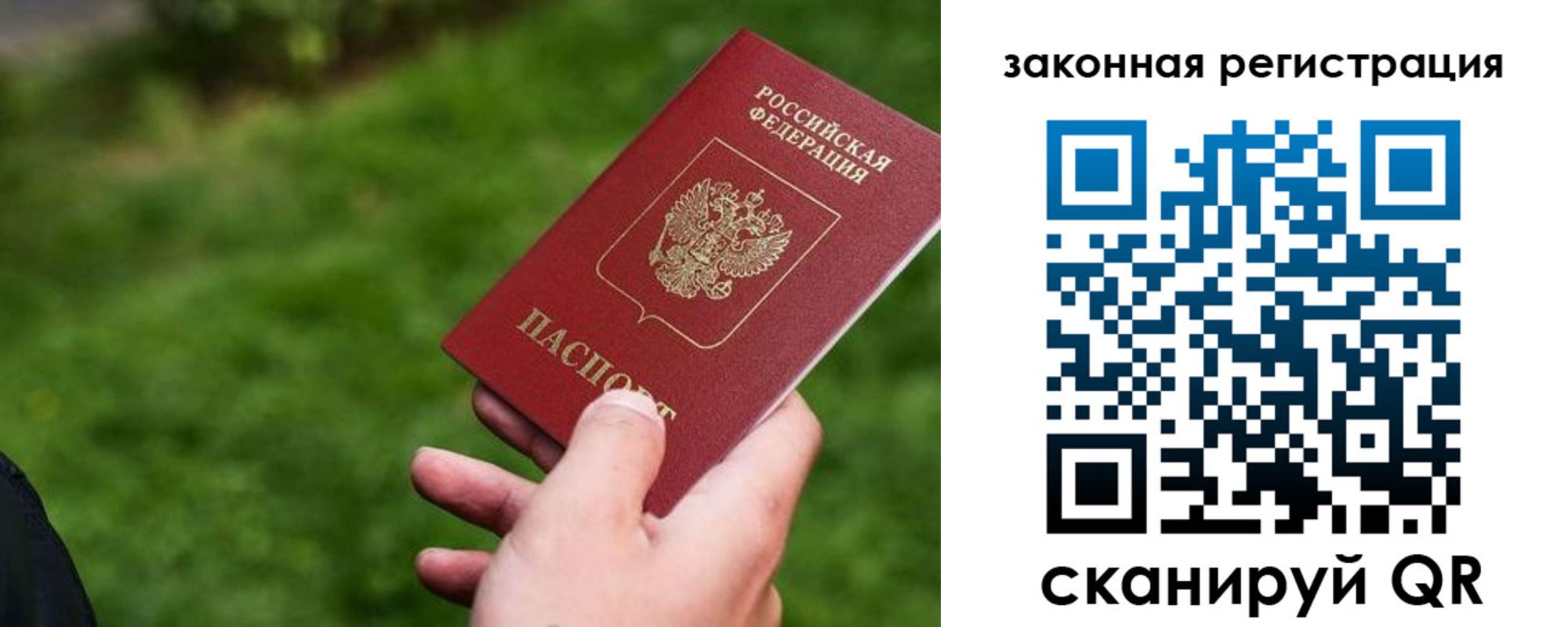 прописка законно в Пионерском